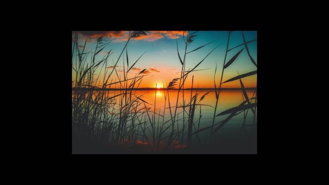 Beautiful Relaxing Music for Meditation and Stress Relief • Sleeping Music • Relaxation