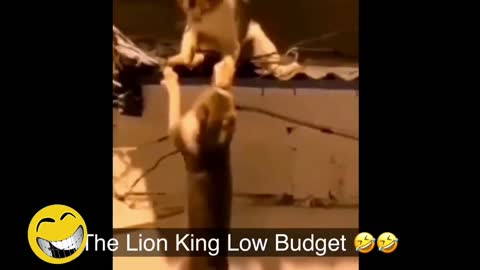 THE LION KING LOW BUDGET 🤣🤣🤣 | AnimalStories