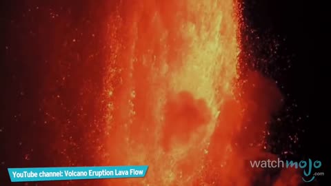 Top 10 Things We Wish Science Would Figure Out