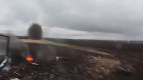 Ukrainians Are Dumb?!