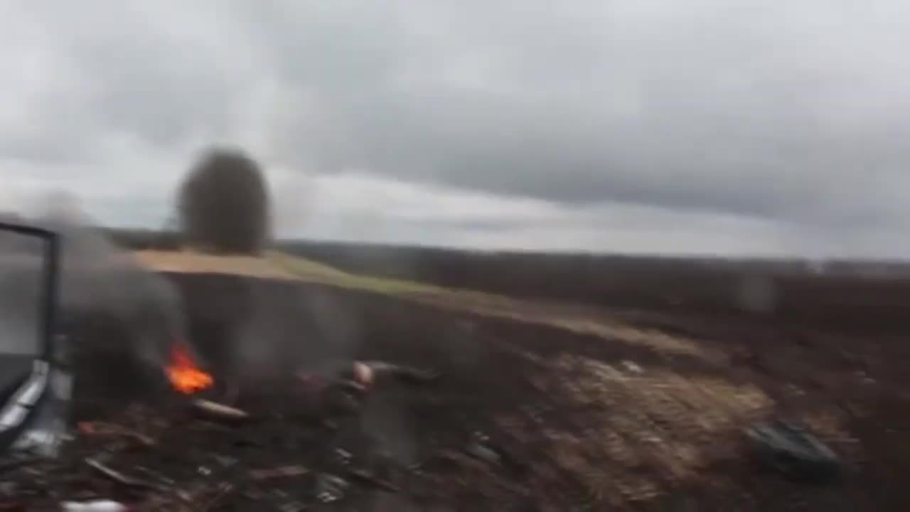 Ukrainians Are Dumb?!