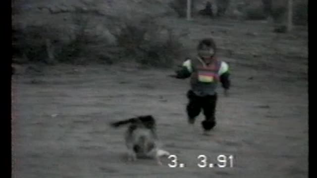 Dog Knocks Over Toddler While Playing Ball