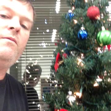 Oh Christmas tree oh Christmas tree…