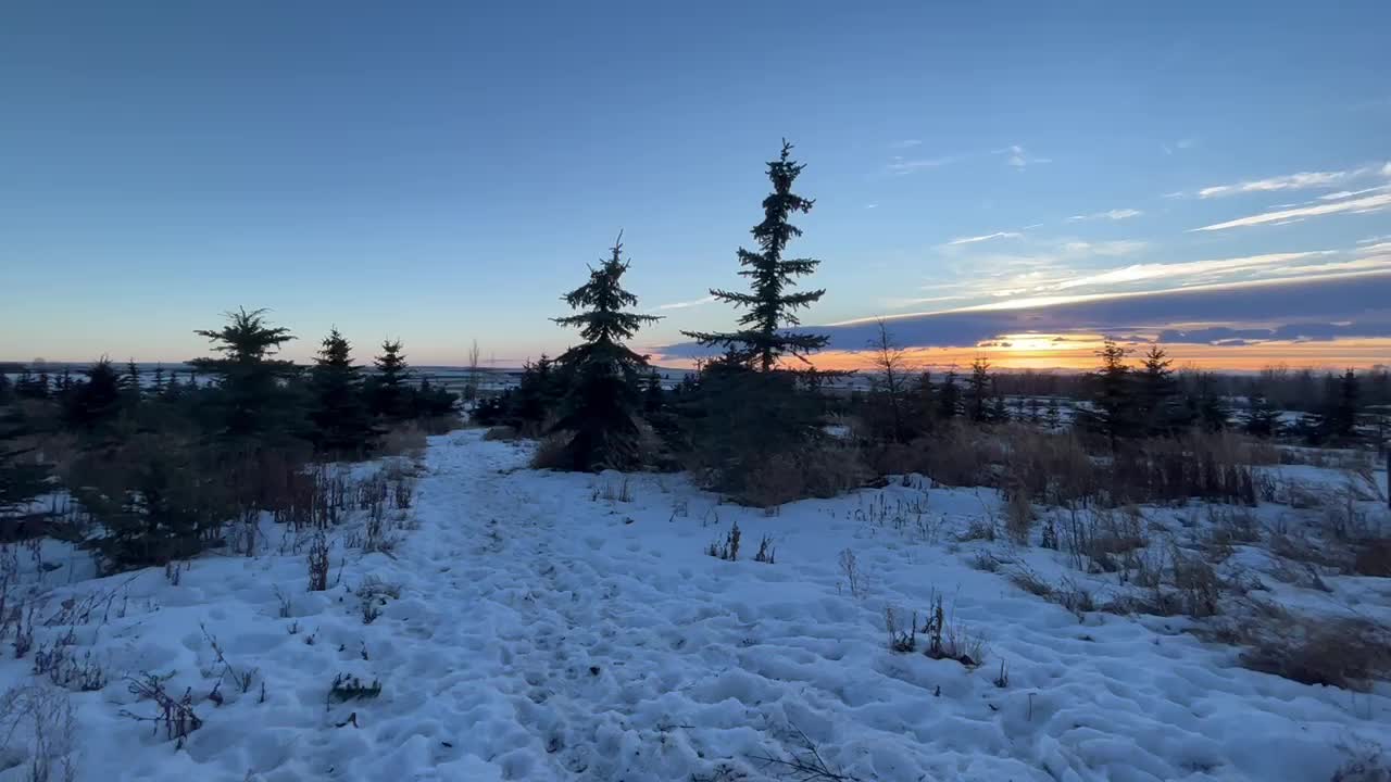 A look around at the end of the first Xmas Tree Day