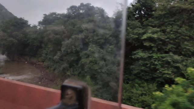 View of the nature #Early morning #Greenery