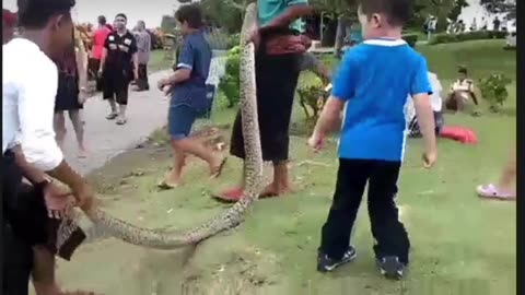Gorgeous Boy Not Afraid of Big Snake