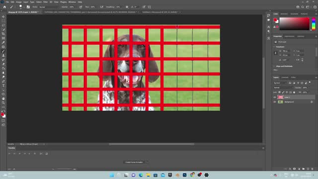 remove fence from photo in photoshop 2022