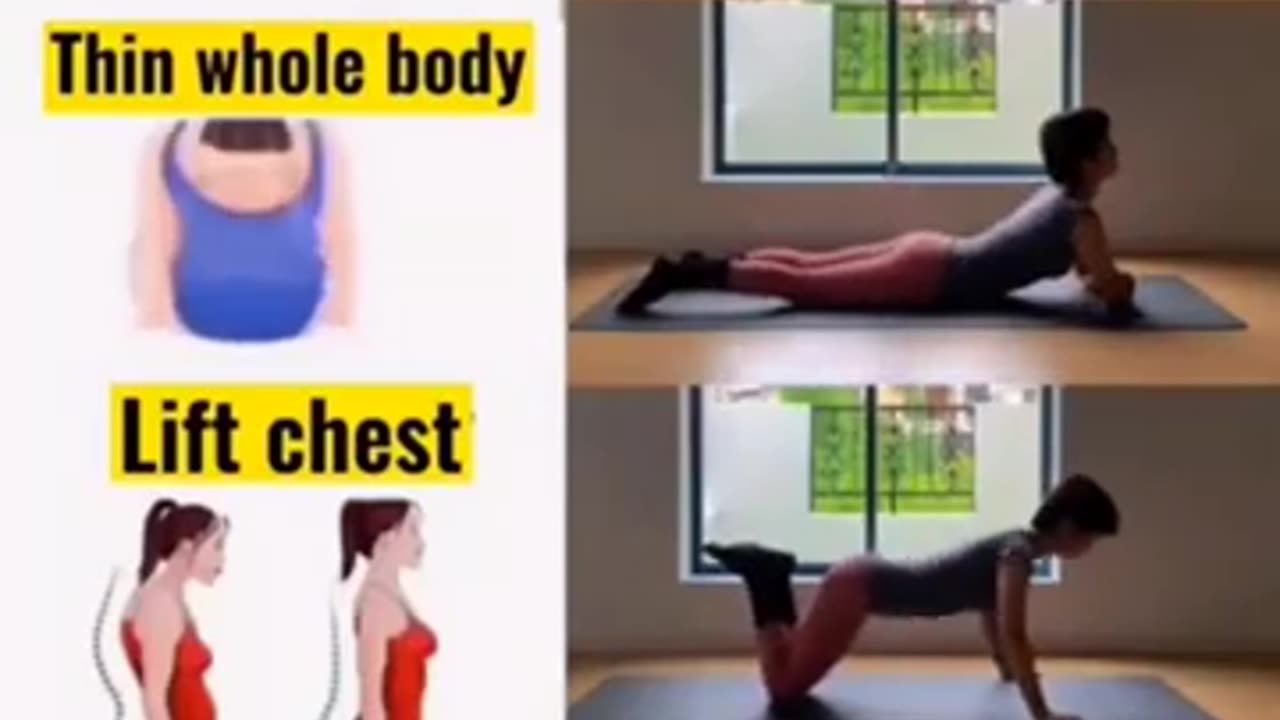 Whole Body Slim Workout