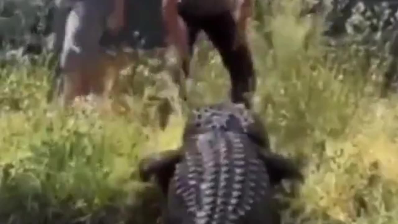 Dumbass