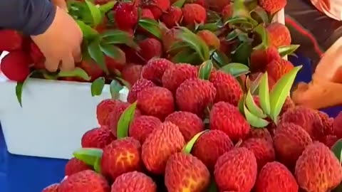 Amazing Lychee season in year #fruitseason #lychee