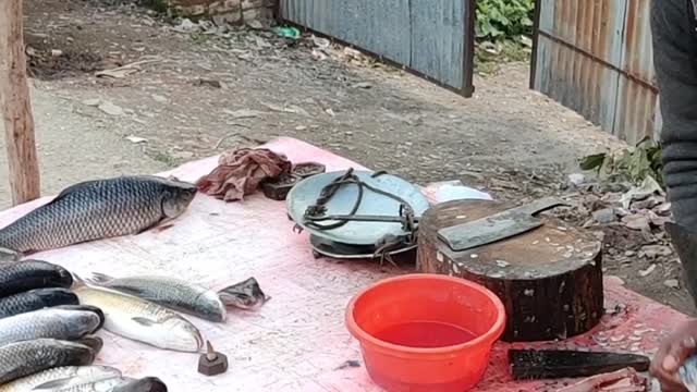 An Indian Fish Vendor Selling Fish