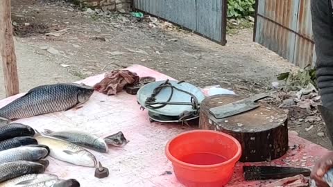 An Indian Fish Vendor Selling Fish