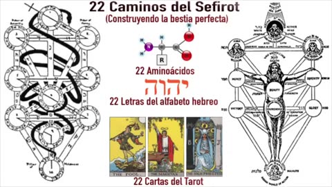 77. Las 4 bestias de Daniel son Hibridación Genética