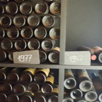 Stairway to Bordeaux Wine Heaven Pt. 2 #luxurylifestyle #winetasting #wine