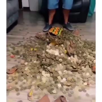 Remember Gullak todna 😭😭❤❤