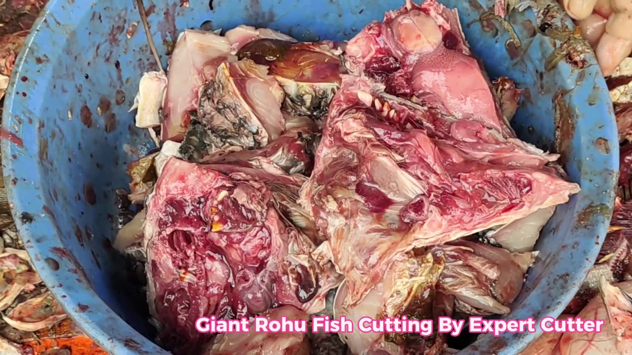 Live Fish Cutting Skills l Big Rohu Fish Fast Cutting By Expert Cutter