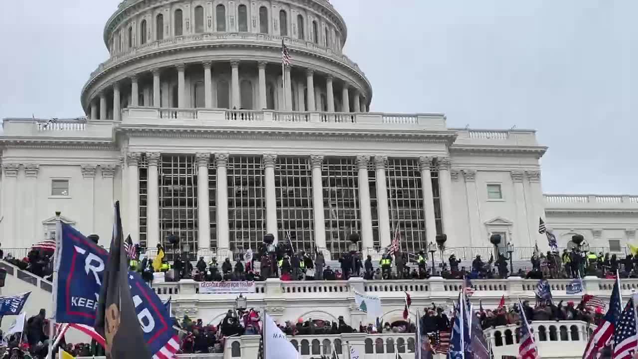 Peaceful DC Trumpster Rally