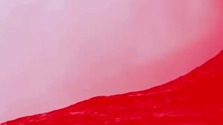 New Scavino on Twitter: Red wave incoming!