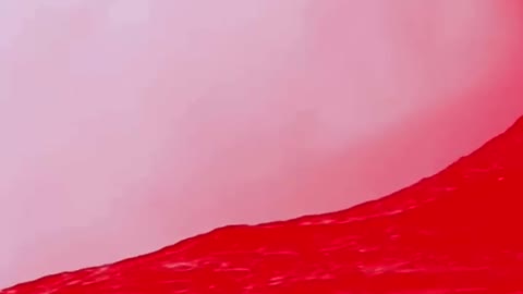 New Scavino on Twitter: Red wave incoming!