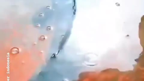 This is a beautiful and charming water-dwelling species