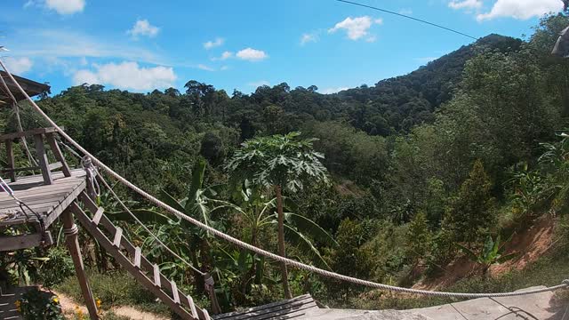 Jungle flight