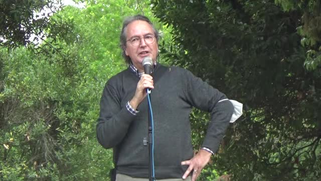 23-05-2021 Ravenna Movimento 3V - Intervento di Guido Pali - fisico nucleare - 0008 - parte seconda