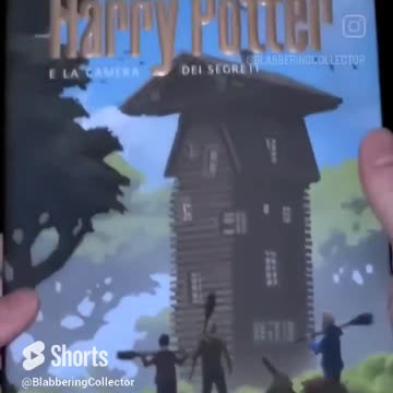 Italian Harry Potter And The Chamber Of Secrets Translation #harrypotter #shorts #bookcollecting