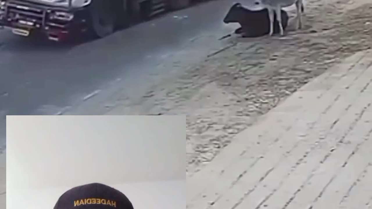 Reaction