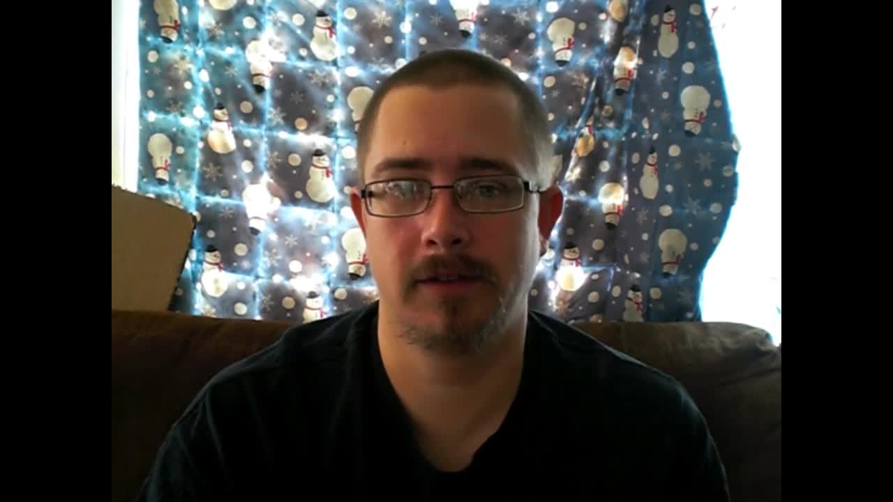 Snow ball from a tree hitting me, computer talks, and puppies