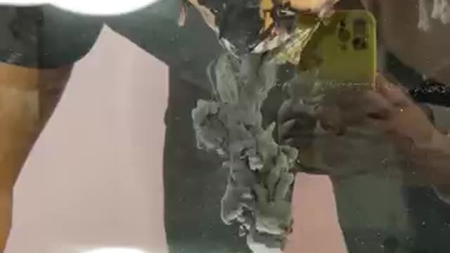 How vanom Dose the Underwater Arrt super video.