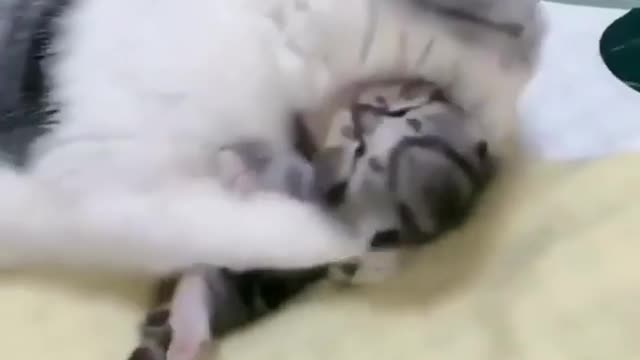 Nothing sweeter than mom's LOVE ❤️