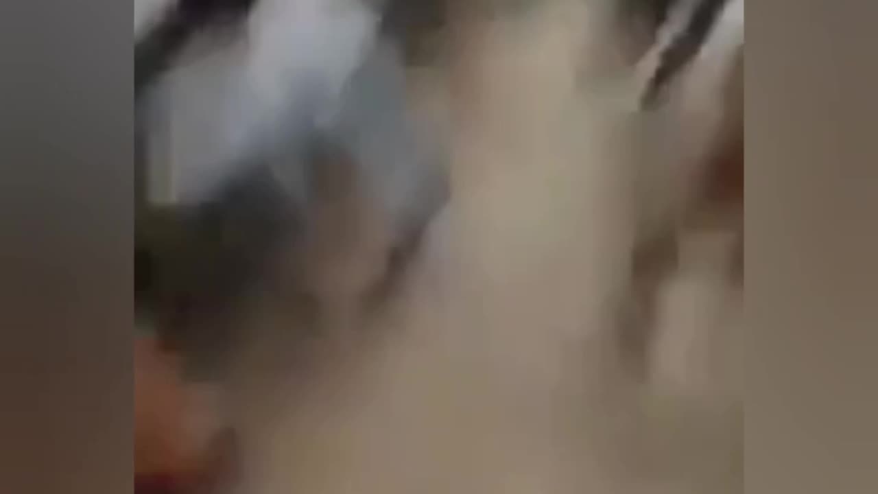 They were looking for beef and found it.