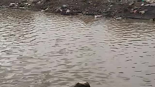 Nice ambiance after the rains