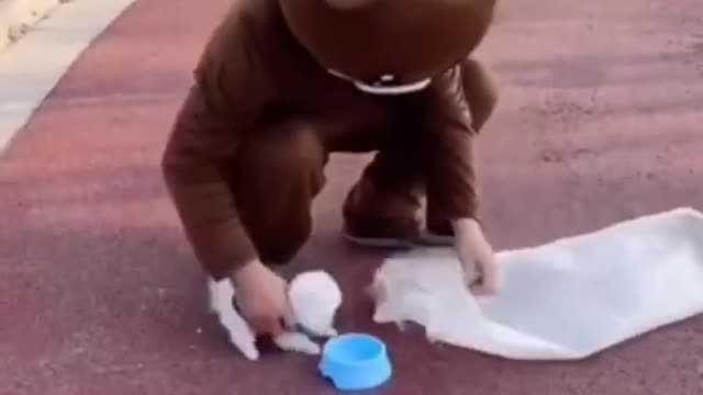 cute dog