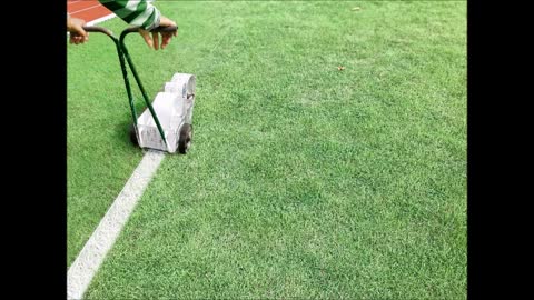 Santiago Landscaping - (760) 450-8598
