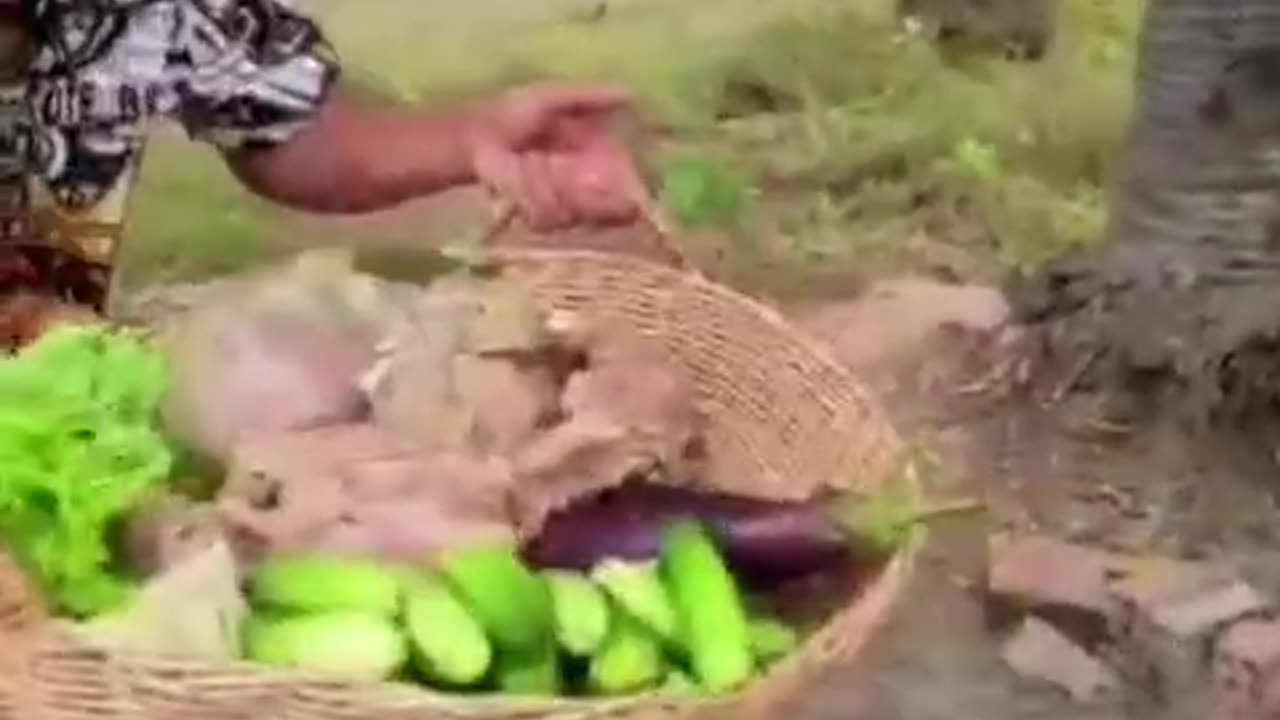 Preparação feto bovino p/ alimentação