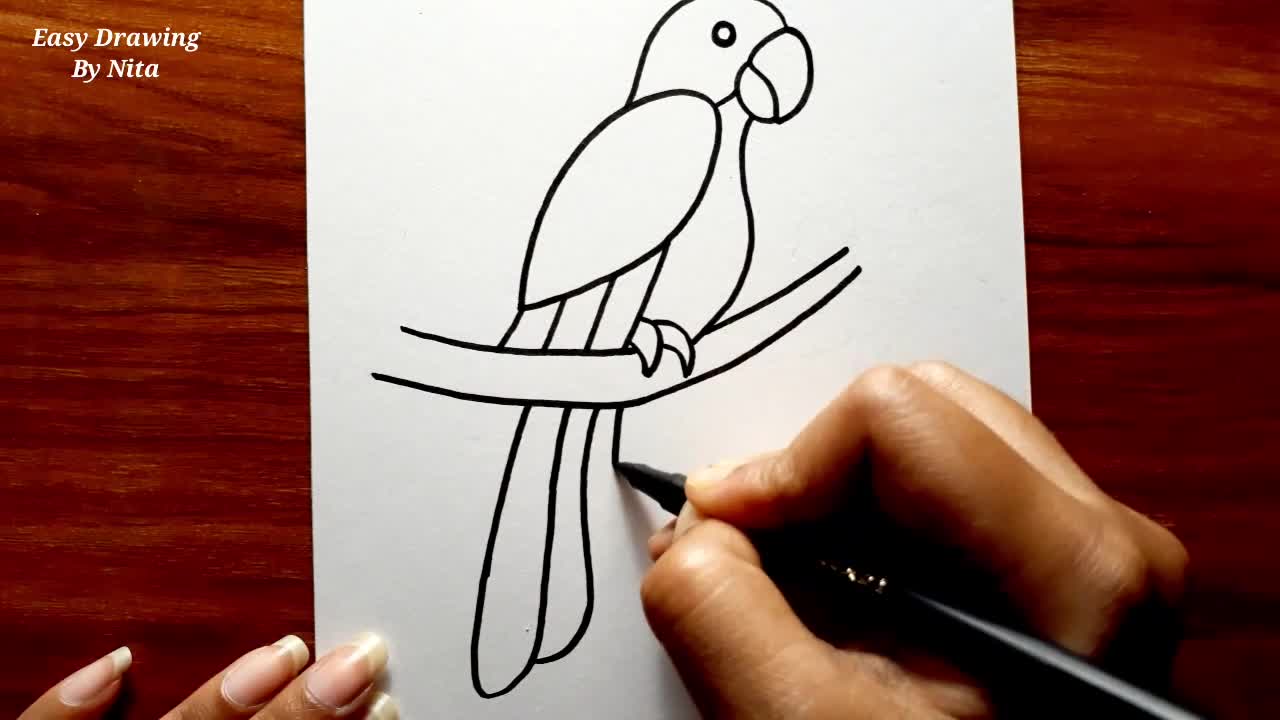 How To Draw Parrot For Beginners -- Parrot Drawing Colour -- Parrot Drawing Tutorial -- Bird Drawing