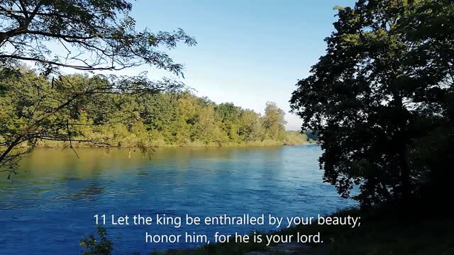 7 minutes Peaceful Nature Meditation with Psalm 45.