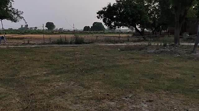 Making pitch for playing cricket in village