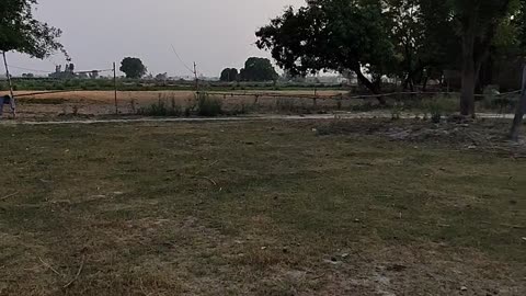 Making pitch for playing cricket in village