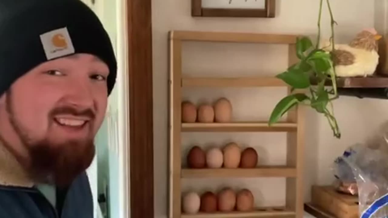 Storing fresh eggs