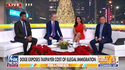 ‘UNBELIVEABLE’_ DOGE reveals just how much illegal immigration is costing US taxpayers