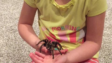 Young Girl Holds Tarantula