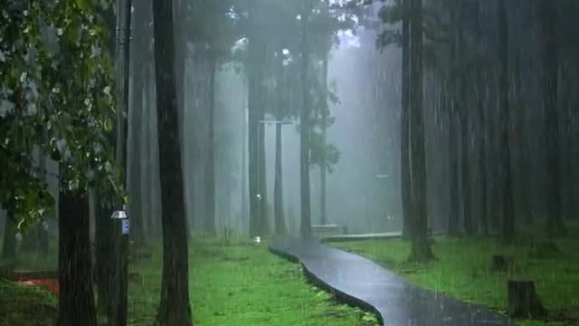Love the Nature || Natural Beauty || relaxing music #nature #wildlife #4k