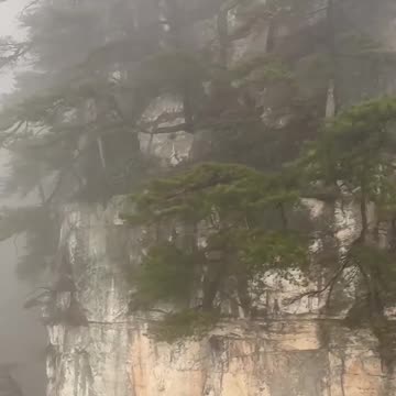 The Resilience of Nature: A Lesson for the Human Spirit ✨🌿⁣ #naturetherapy