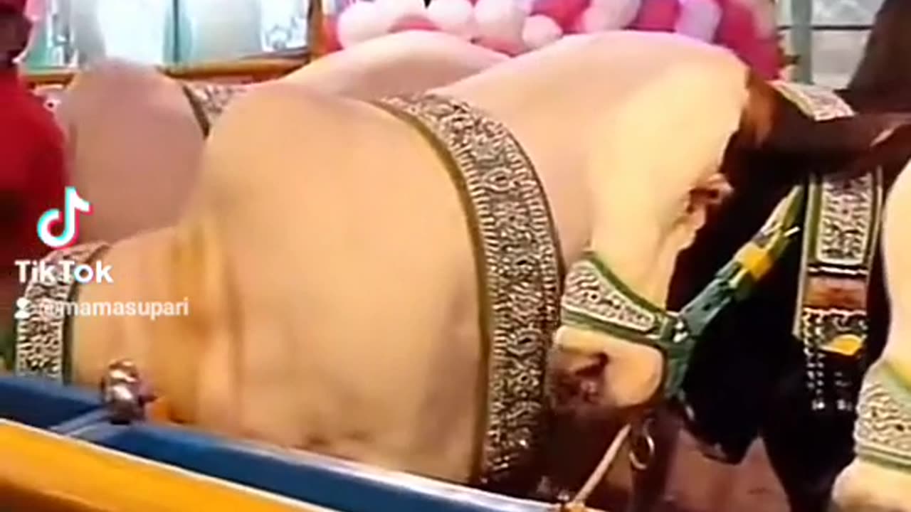 Only in Karachi .WOW