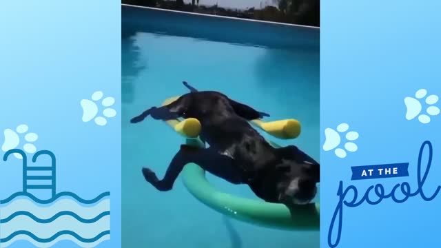 Enjoying the pool