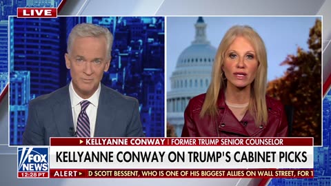 Kellyanne Conway Democrats arent over their Trump Derangement