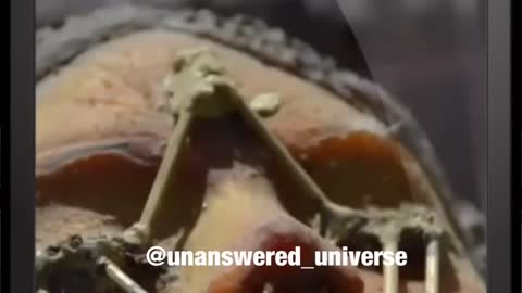 Space alien woman found on the moon fully explained