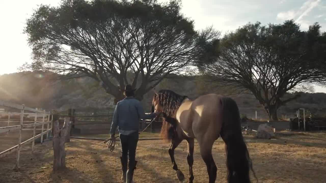 A rancher and horse at a ranch